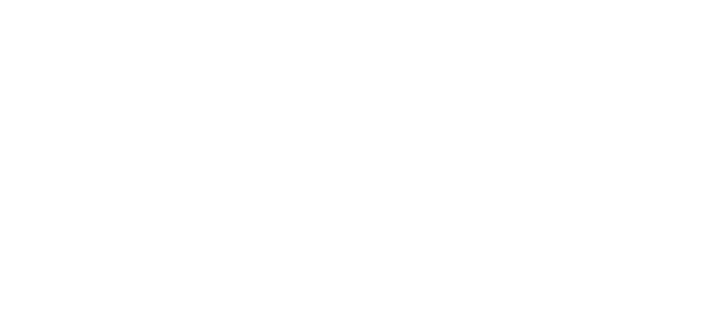 The Andersen Firm