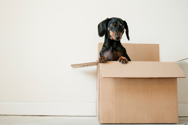 Moving and estate plans